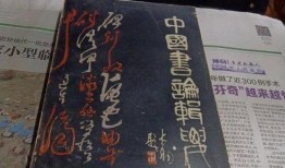 古董商外网爆料视频大全,外网爆料视频大全背后的珍稀古董故事