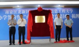 昌乐塑料厂爆料最新消息,揭秘行业黑幕，真相令人震惊！