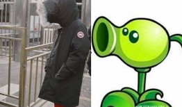 喜喜吃瓜娱乐,揭秘娱乐圈幕后故事，带你领略明星真实生活