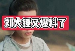 刘大锤爆料苏醒视频大全