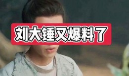 刘大锤爆料苏醒视频大全