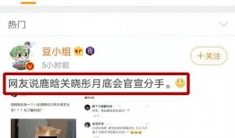 视频热搜爆料网站有哪些,揭秘热门视频热搜爆料网站大盘点