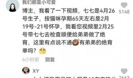 娱乐吃瓜君说七七视频,揭秘娱乐圈幕后故事，娱乐吃瓜君带你一探究竟