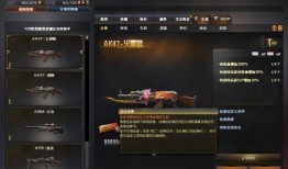 穿越火线最新英雄爆料,新英雄登场，神秘力量震撼来袭！