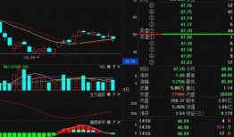 重大爆料预告最新消息,重大爆料预告，最新消息即将揭晓！