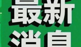 爆料新闻主题怎么写好,爆料新闻背后的真相与影响