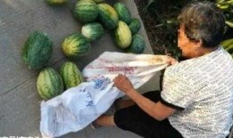 新沂新瓜最新爆料视频,最新爆料内容大起底