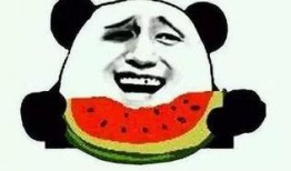 喜喜吃瓜娱乐,揭秘娱乐圈幕后故事，带你领略明星真实生活