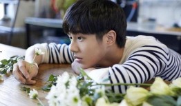 刘昊然狗仔爆料了吗视频,娱乐圈幕后真相曝光