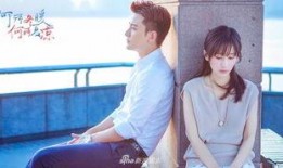 何所冬暖何所夏凉在线观看,温情治愈，暖意盎然的爱情故事