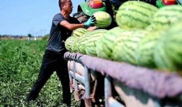 新沂新瓜最新爆料视频,最新爆料内容大起底