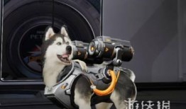 星球最新宠物爆料,萌态可掬，等你来领养！