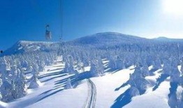 冰山滑雪场爆料事件视频,视频揭露惊人内幕