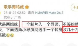 甄妮发文爆料了吗视频,揭秘视频背后的惊人真相