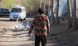 沧州新楼盘爆料事件视频,揭秘背后真相与争议