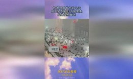 甘肃地震最新爆料视频,震撼现场直击，救援行动紧急展开