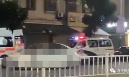 狮山最新爆料事件,揭秘事件背后惊人真相