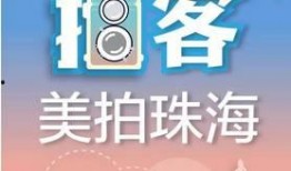 珠海新闻爆料 有用吗,聚焦热点，揭示社会现象