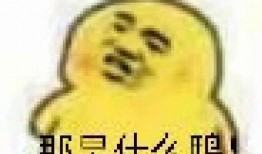 免费吃瓜表情包图片,笑出腹肌的欢乐源泉