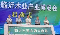 木业新闻大爆料,行业动态与热点事件深度解析