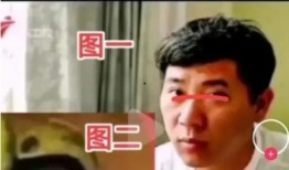 林生锋最新爆料,揭秘娱乐圈惊人内幕