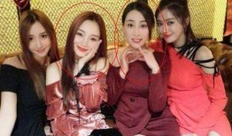 爆料娱乐圈塑料姐妹花,揭秘背后真相与友情裂痕