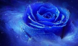 蓝色妖姬在线观看