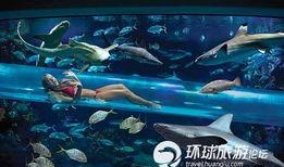 鲨鱼爆料赌城视频播放,鲨鱼爆料视频揭秘幕后真相