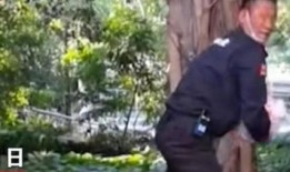 深圳男子爆料新闻报道,揭露惊人真相，引发社会关注