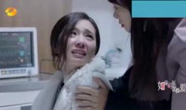 天注定在线观看完整版下载,揭秘命运交织的悬疑之旅