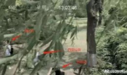 被网红扒吃瓜视频大全,揭秘娱乐圈幕后故事