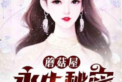 圈内神秘人爆料小说,圈内神秘人爆料小说背后的秘密世界