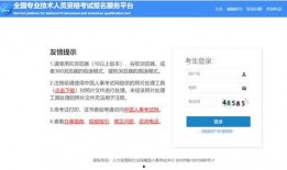 搜索最新爆料网站下载,网站下载背后的秘密与趋势