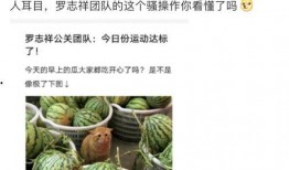 吃网红瓜的网站,热门网站带你畅游娱乐圈风云