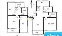 济南都市爆料事件视频全集,事件视频全集深度解析