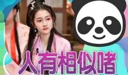 娱乐大瓜爆料直播视频下载,直播视频下载幕后故事