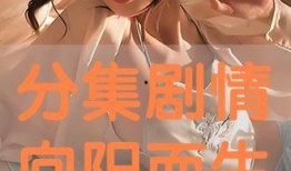 向阳在线观看,探索阳光下的网络生活