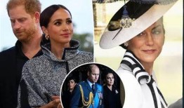 阿根廷王子爆料事件视频,独家爆料视频引发热议