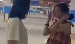 被霸凌者爆料视频大全,被霸凌者爆料视频大全深度解析