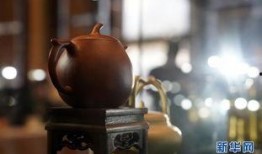 紫砂爆料新闻报道视频,揭秘新闻报道背后的真相与内幕