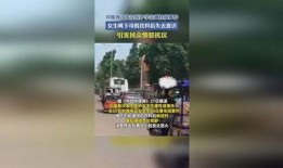 近期饮料爆料事件视频,真相与争议并存