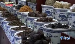 今日头条爆料六必居酱菜,传承百年匠心，揭秘酱香四溢的秘密