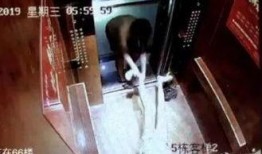 晋江少妇爆料渣男视频大全,视频大全曝光惊人内幕