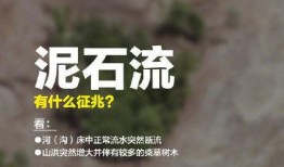 直播今日台风在线观看,今日台风在线观看，风雨同行，共筑安全防线