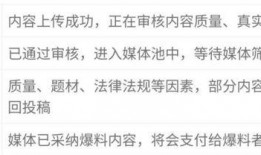 爆料新闻已收录,爆料新闻背后的惊人真相