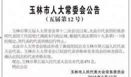 玉林新闻爆料方式,揭秘本地热点事件背后的真相