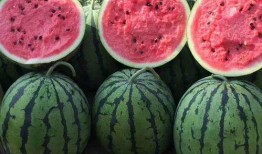 网红青蛙看别人亲吻吃瓜,揭秘亲吻背后的“吃瓜”真相