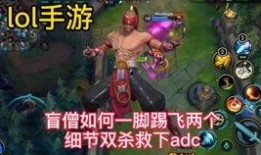 盲僧手游爆料视频大全,技能解析与玩法攻略汇总