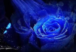 蓝色妖姬在线观看