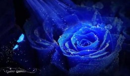 蓝色妖姬在线观看